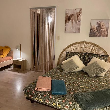 Апартаменти T2 Plein Centre Au 1Er Etage Avec Parking Prive Мійо Екстер'єр фото
